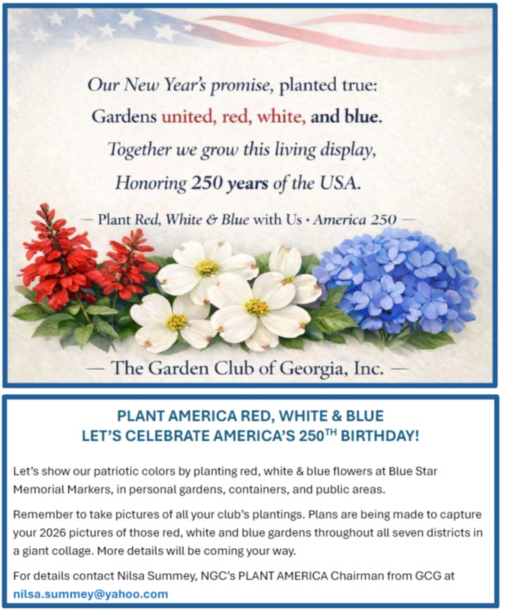 plant america red white blue